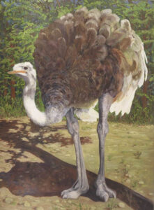 Ostrich: Painting