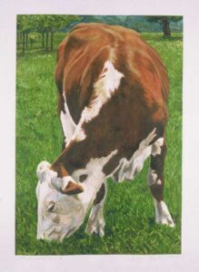 Otsego County Cow 2: Painting